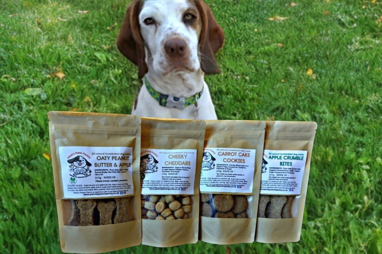 Natural Wholesome Dog Biscuit Pouches
