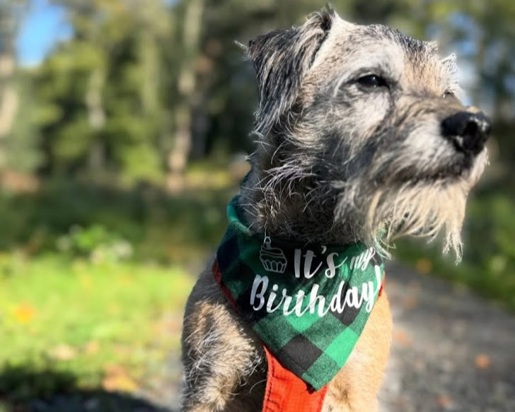 Bandanas