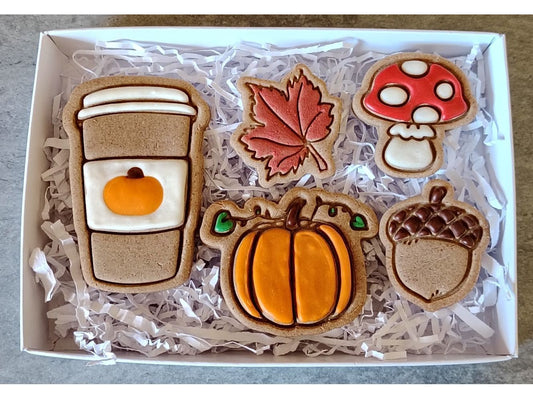 Pumpkin Spice and Everything Nice Medium Treat Box (Grain-free Peanut Butter Flavour)