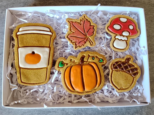 Pumpkin Spice and Everything Nice Medium Treat Box (Grain-free Pumpkin Spice Flavour)