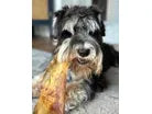 JR Pet Products Premium Moon Bone (no actual bone)