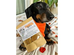 Limited Edition All Natural Pumpkin Spice Cookies 65g (grain free vegan recipe)