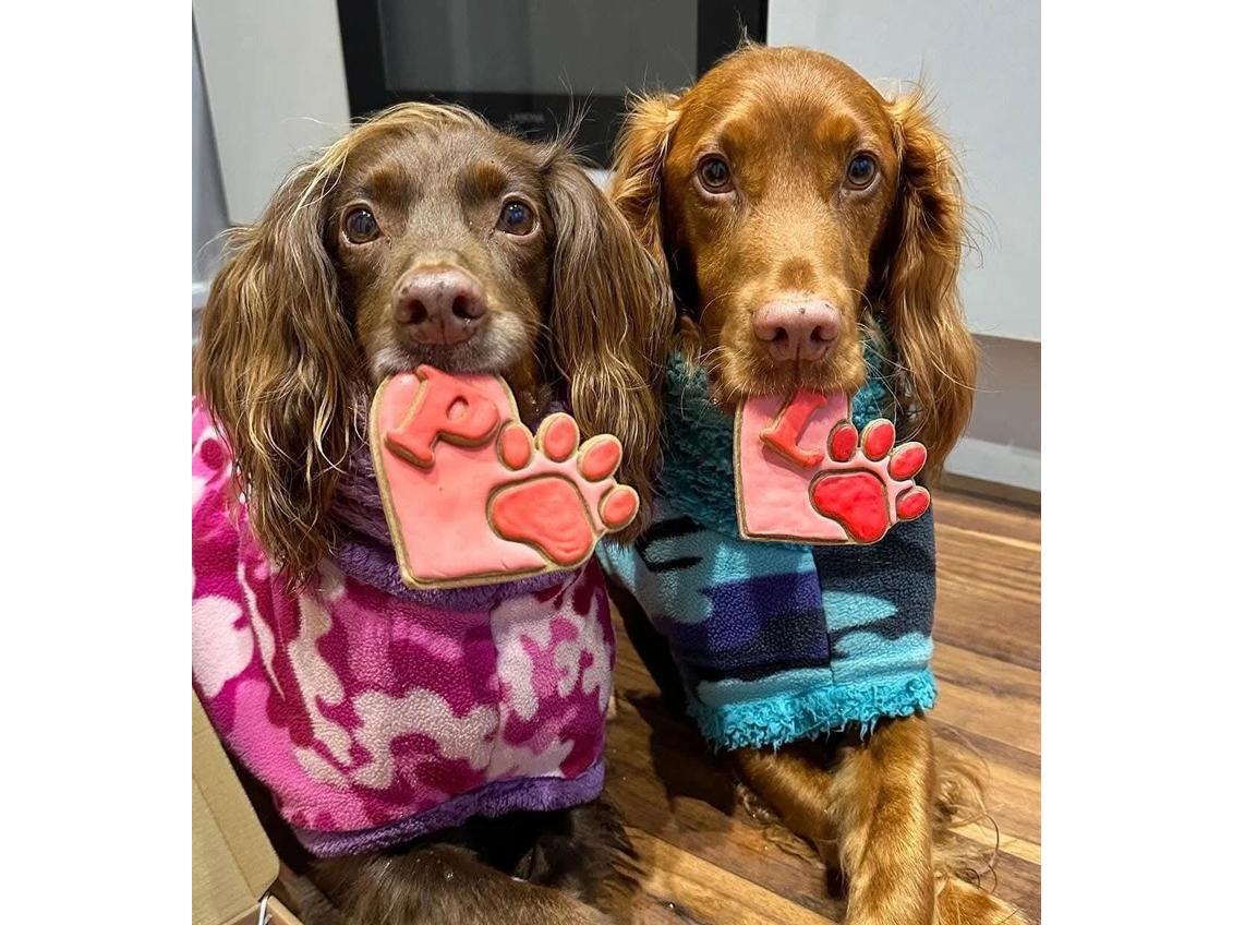 Love Letter XL Personalised Handmade Grain Free Peanut Butter Biscuit