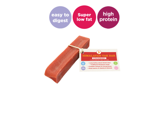 NEW! JR Pet Products Strawberry Himalayan Yak Bar - Medium Approx 100g