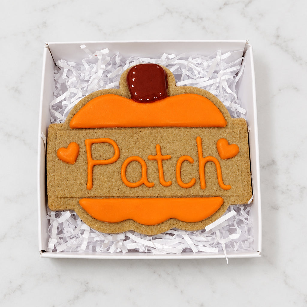 Large Pumpkin Name Plaque Handmade Grain Free Dog Biscuit