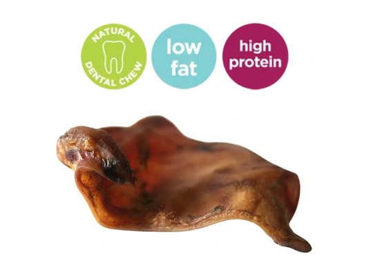 JR Pet Products Low-Fat Premium Iberian Pigs Ears - Loose x 1