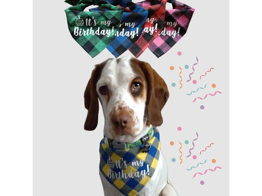 Plaid Birthday Dog Bandana - Soft Cotton Tie-on Style