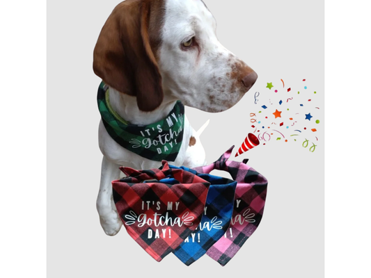 Plaid Gotcha Day Dog Bandana - Soft Cotton Tie-on Style