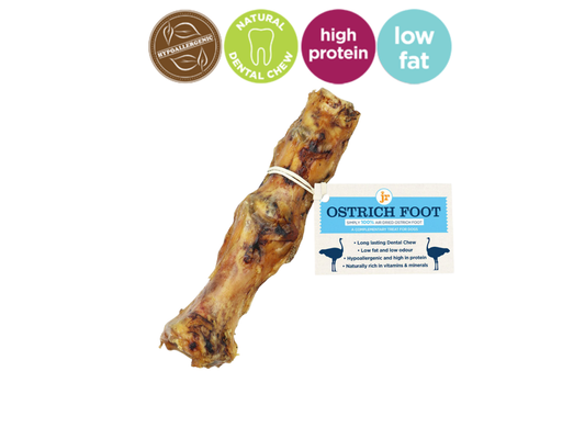 JR Pet Products Ostrich Foot